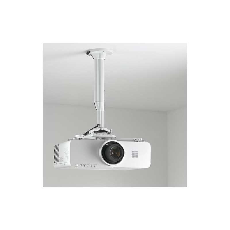 CHIEF-KITEC030045W
