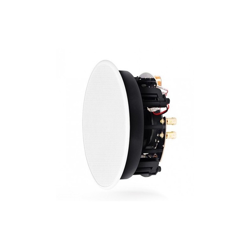 ELIP-IC6-WT