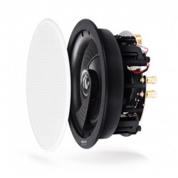 ELIP-IC6-WT-0