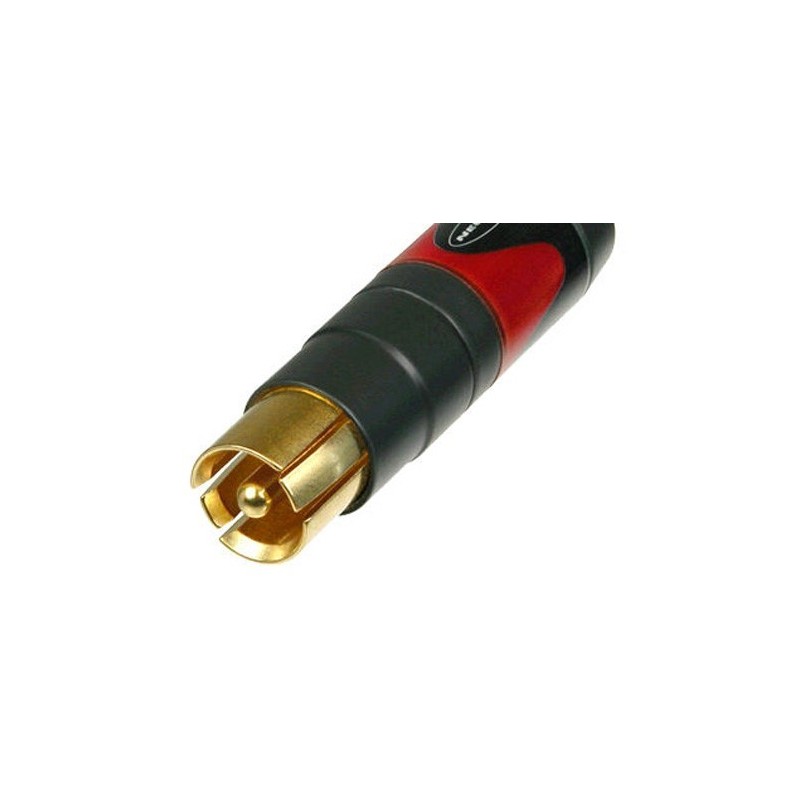 PACK 2 FICHES RCA MALE OR PROFESSIONNEL