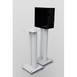 PAIRE DE PIEDS D'ENCEINTES AUDIOPHILES SILVER,BLANC OU NOIR
